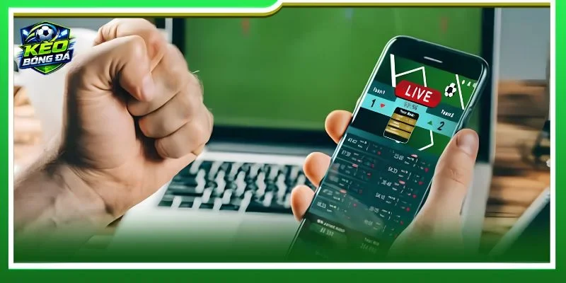 Bỏ túi lưu ý nhỏ để là người chơi không bao giờ vi phạm luật