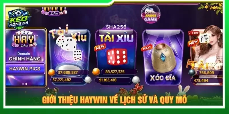 Giới thiệu Haywin về lịch sử và quy mô