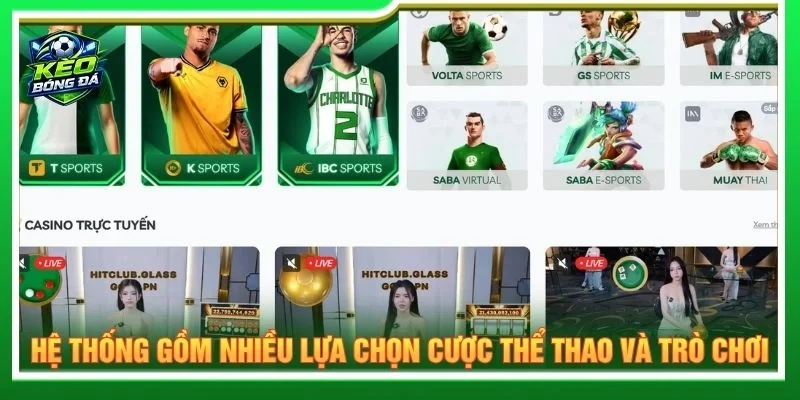 Hệ thống gồm nhiều lựa chọn cược thể thao và trò chơi