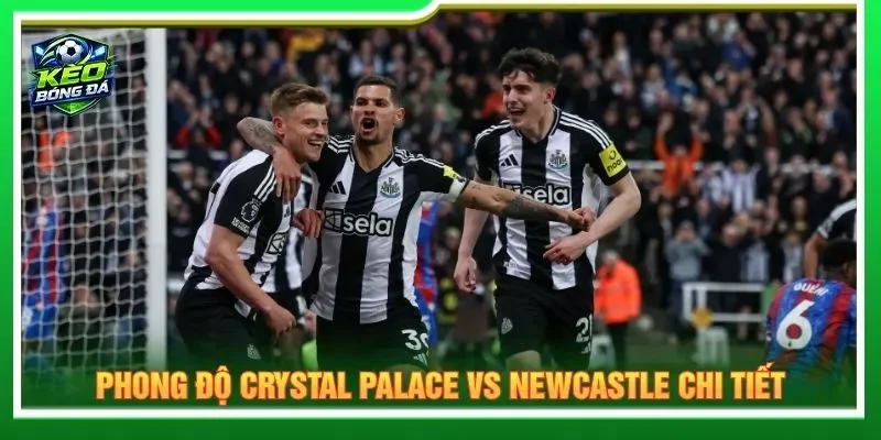 Phong độ Crystal Palace vs Newcastle chi tiết